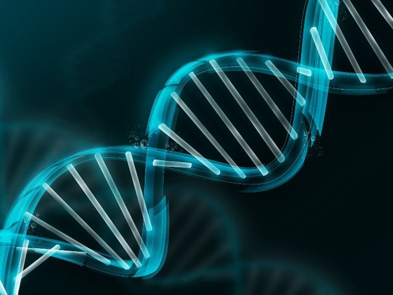 Gene Image